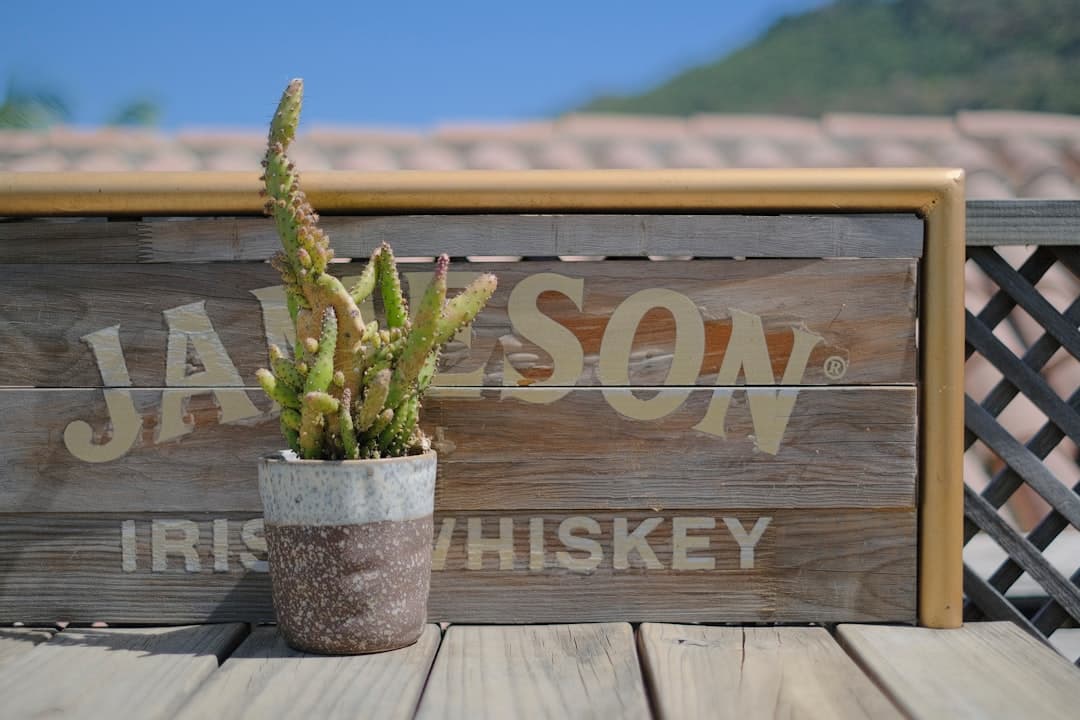 Top 10 Whiskies You Absolutely Need to Try (According to Us!) - Image 4