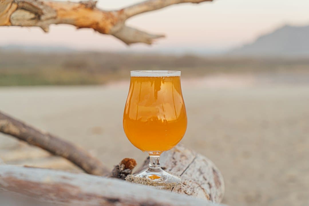 Vienna Lager: Clean, Malty 20-Litre Homebrew Recipe