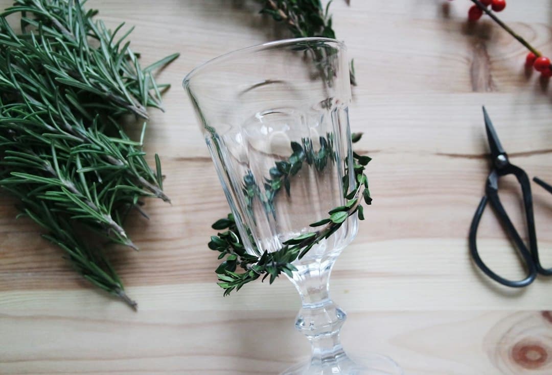 Vermouth & Tonic
