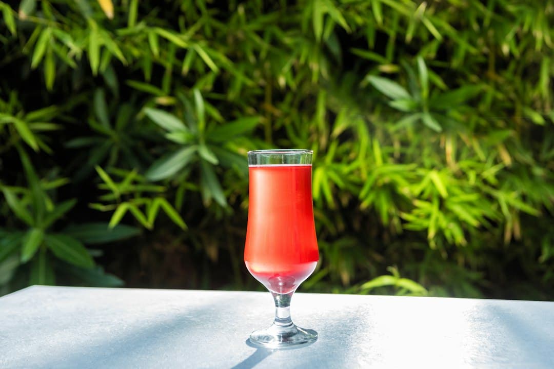 What Is Sour Beer? A Beginner's Guide
